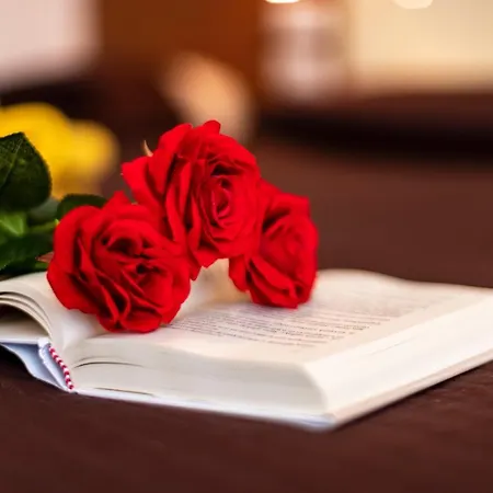 فندق بريزيدنت